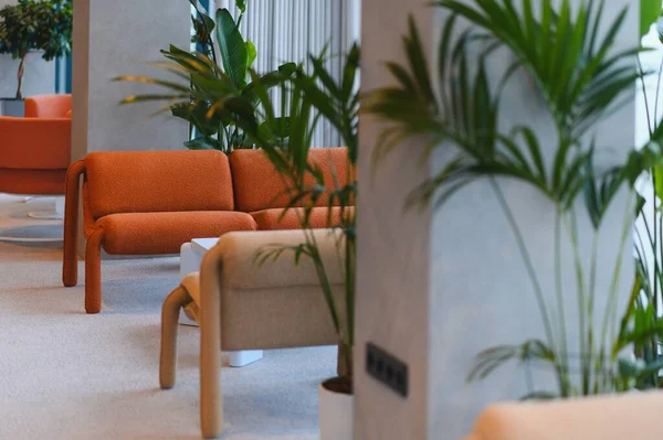 Konforlu oturma yeri, yemyeşil bitkiler ve şık iç tasarımı ile modern lobi, rahatlatıcı bir bekleme alanı sunuyor.