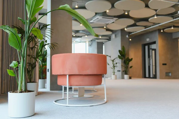 Modern ofis lobisinde rahat pembe yumuşak koltuklar, saksıda yeşil bitkiler ve minimalist akustik tavan panelleri yer alıyor.
