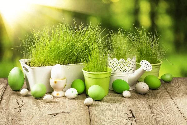 Spring decoration with grass — Stock Photo, Image