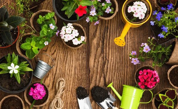 Zahradní nářadí a květiny — Stock fotografie