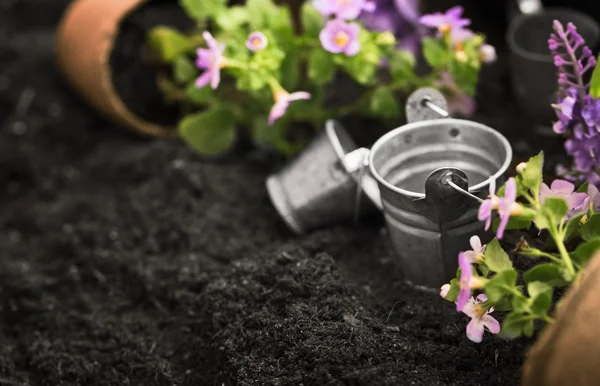 Ferramentas e flores de jardinagem — Fotografia de Stock