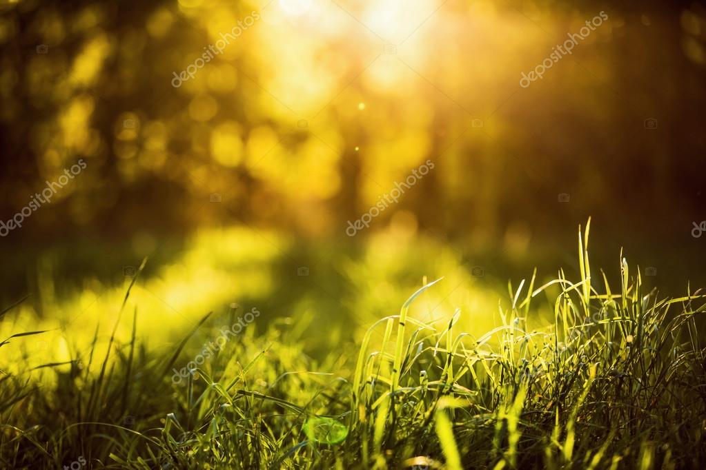 Natural background bokeh effect Stock Photo by ©-Baks- 117202642
