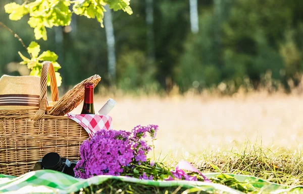 Kırmızı ve beyaz şarap ile piknik — Stok fotoğraf