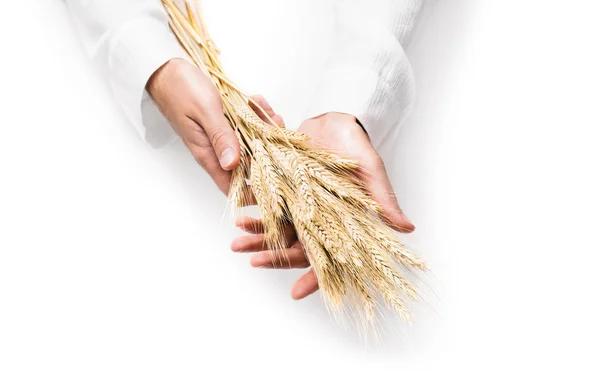 Orelhas de trigo nas mãos dos homens — Fotografia de Stock