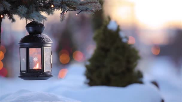 Linterna de Navidad en la nieve con rama de abeto en la luz del sol — Vídeos de Stock