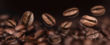 Kahverengi Kavrulmuş Kahve Fasulyeleri Koyu Arkaplanda Yakın plan