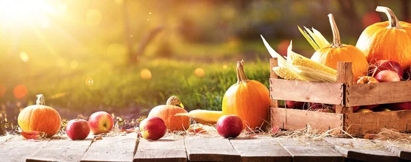 Gelukkige Thanksgiving Day Achtergrond. Herfstoogst — Stockfoto