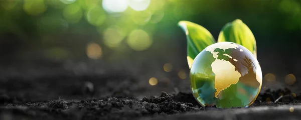 Planeta Verde com Folhas. Símbolo Ecológico — Fotografia de Stock