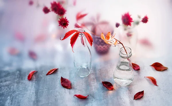 Podzimní pozadí s červenými listy — Stock fotografie