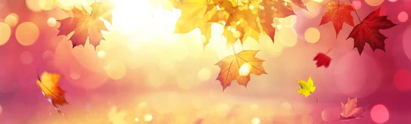 Falling Autumn Maple Leaves Natural Background — Stock Photo, Image
