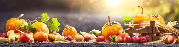 Feliz Dia de Acção de Graças. Colheita de Outono — Fotografia de Stock