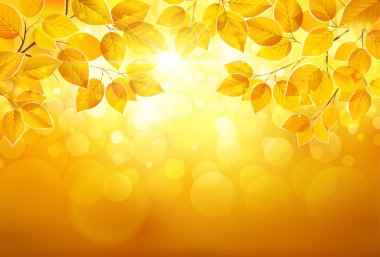 Sonbahar Yaprakları