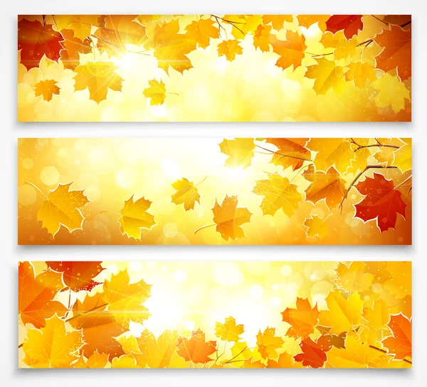 Collection of autumn banners — Stock Vector