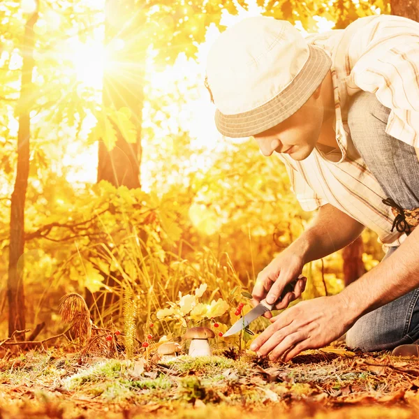 Svampplockning i skogen — Stockfoto