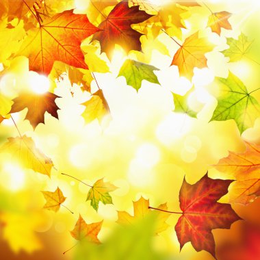 Sonbahar Yaprakları