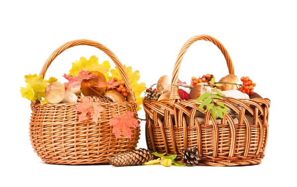 Cesta com cogumelos — Fotografia de Stock