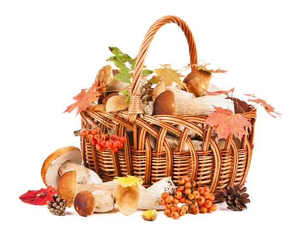 Mushrooms in basket — Stock Photo, Image