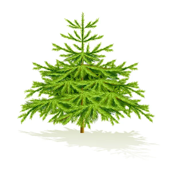 Weihnachtsbaum — Stockvektor