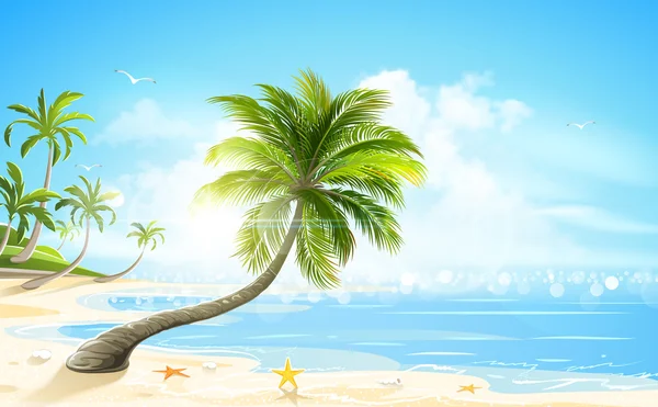 Playa tropical. Vector — Vector de stock