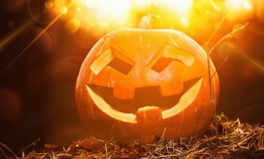 Cadılar Bayramı Balkabağı