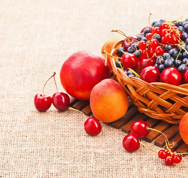 Свежие сочные ягоды — стоковое фото