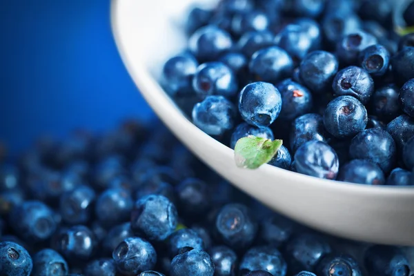 Blaubeeren — Stockfoto