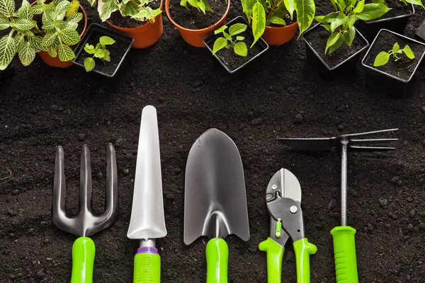 Trädgårdsredskap och växter — Stockfoto