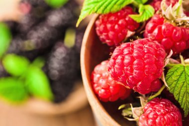 Ahududu portre. Makro