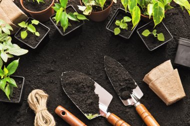 Gardening tools and plants clipart