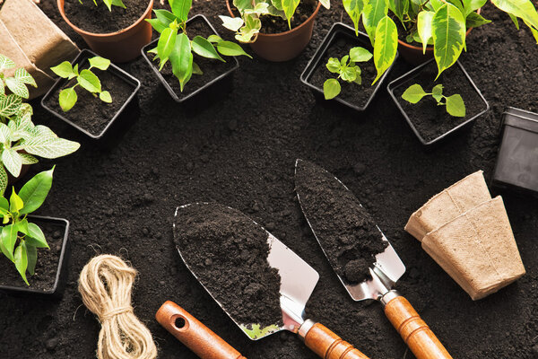 Садовые инструменты и растения
