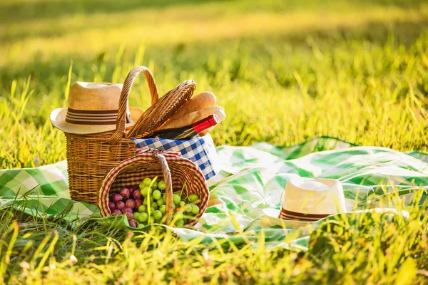 Picknick met wijn — Stockfoto