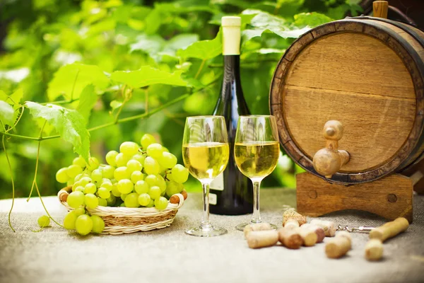 Vino blanco y uvas — Foto de Stock