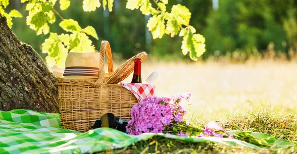 Picnic. — Foto de Stock