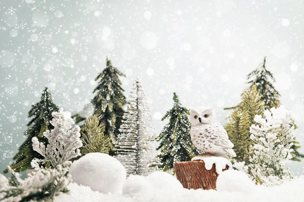 Winter forest landscape — Stock Photo, Image