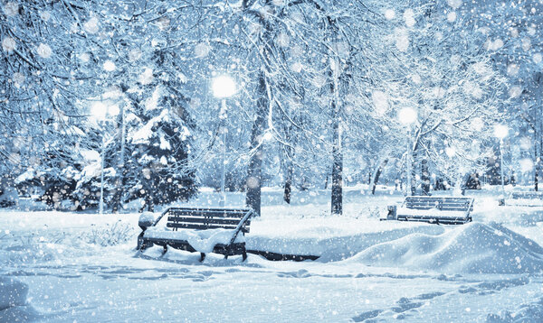 Snow covered trees and benches in city park