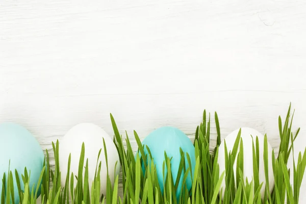 Пасхальные яйца с зеленой травой — стоковое фото