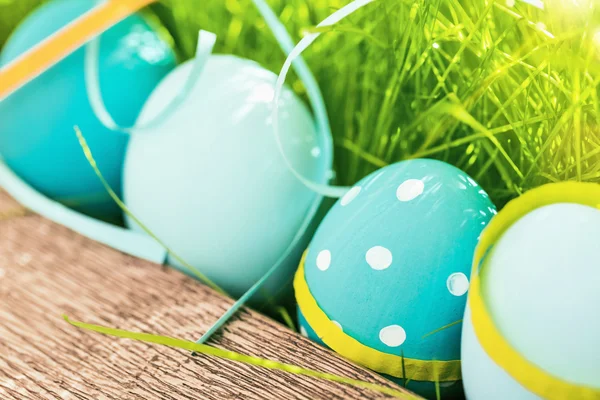 Uova di Pasqua con erba verde — Foto Stock