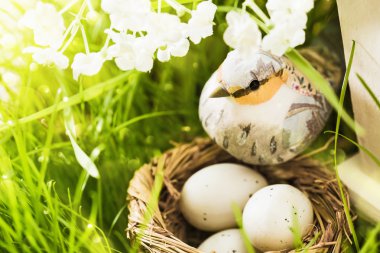 Bahar dekorasyon kuş ile