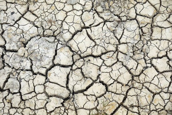 Сухие трещины в высохшей почве
