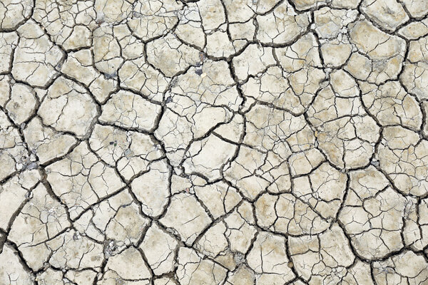 Сухие трещины в почве

