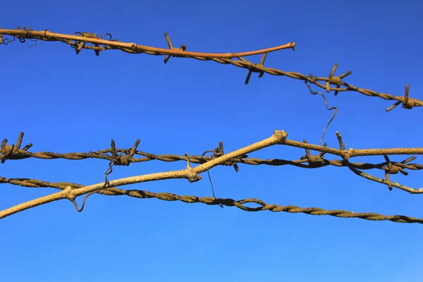 Prikkeldraad voordat de blauwe hemel — Stockfoto