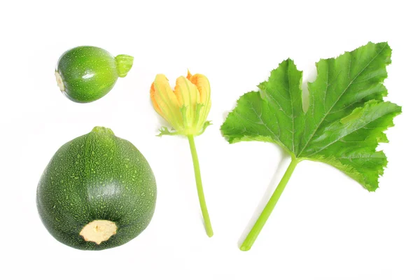 Round courgettes — Stock Photo, Image