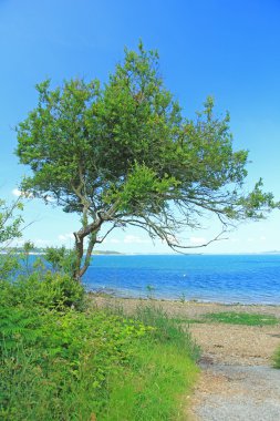 Taş beach Finistère Brittany