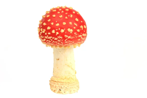 Funghi agarici volanti (Amanita muscaria ) — Foto Stock