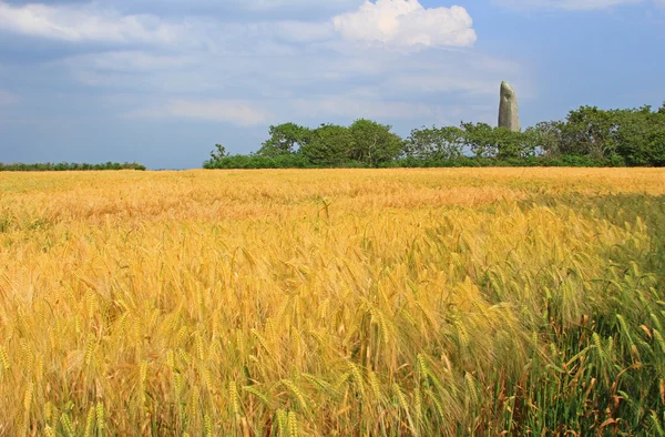 Menhir de kerloas — Stockfoto