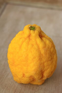 Limon (Citrus medica)