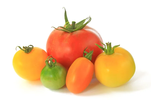 Bunte Tomaten — Stockfoto