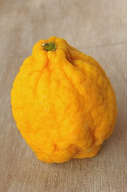 Ağaç kavunu Citrus medica