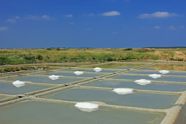 Sea salt — Stock Photo, Image