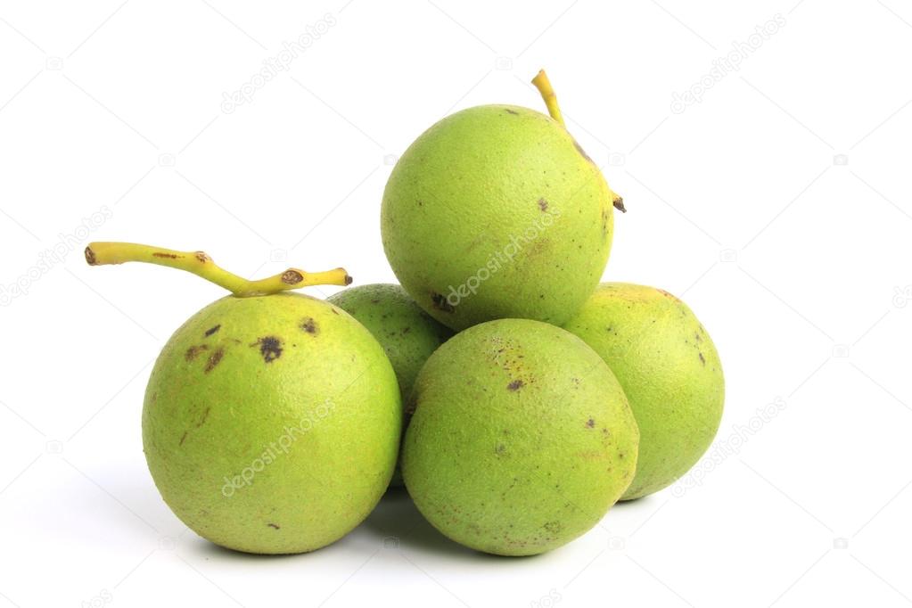 Black walnut  (Juglans nigra)